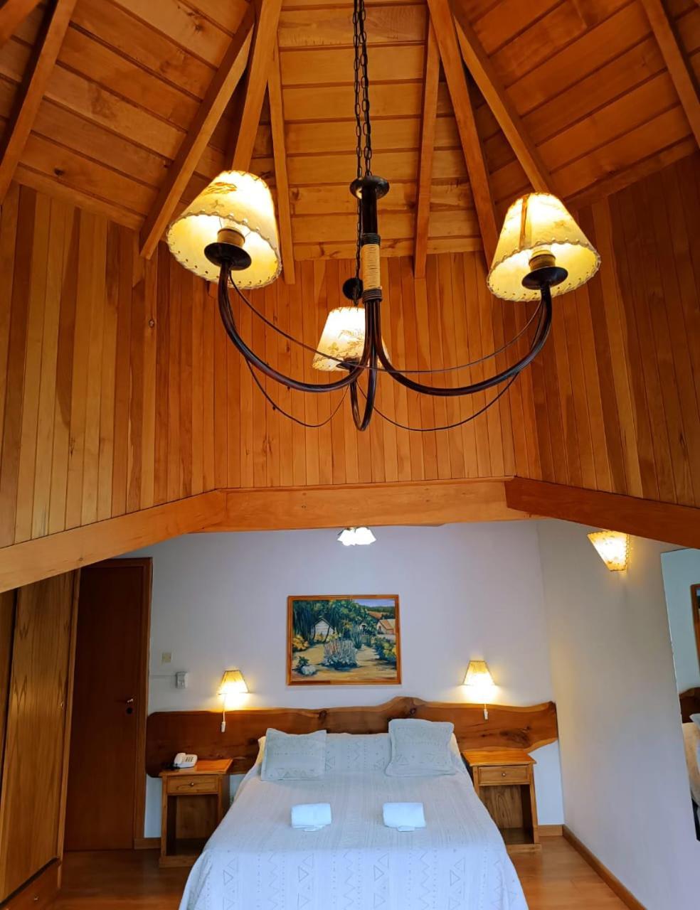 Apart Hotel Del Pellin San Martín de los Andes Екстериор снимка